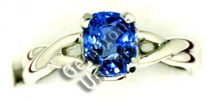 Cornflower color Blue Sapphire set in Caduceus double Helix Serpent Ring.Gemstoneuniverse.com Cornflower color Blue Sapphire set in Caduceus double Helix Serpent Ring.Gemstoneuniverse.com