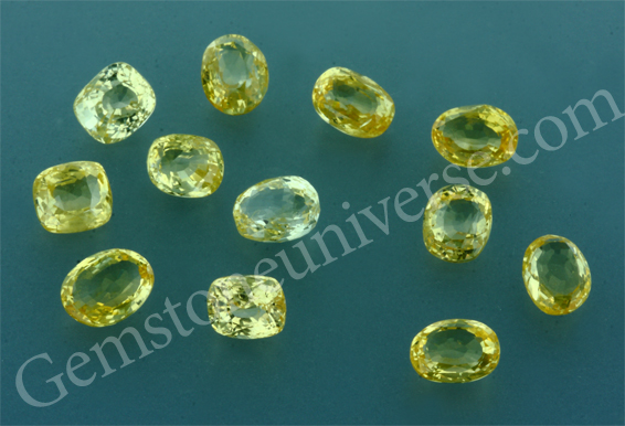 Gorgeous new lot of unheated Yellow Sapphires with the finest Golden Yellow Color from the gem field of Elahera Sri Lanka! Gemstoneuniverse March special.
