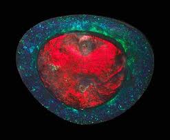 Flame Queen Opal Flame Queen Opal