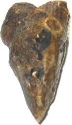 Gaja Mani - Elephant Pearl