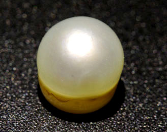 Sri Chandra Mani The oyster Pearl-Courtesy Gemstoneuniverse