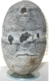 Sri Venu Mani The Bamboo Pearl
