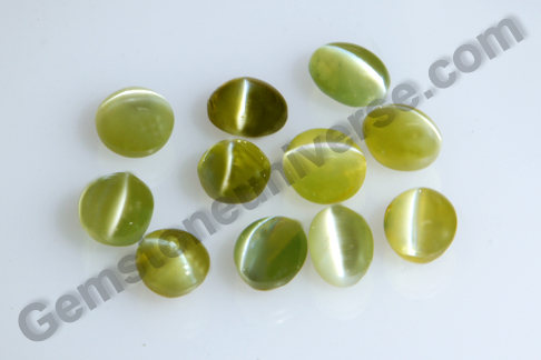 Chrysoberyl Cat’s Eye New Lot – Nideeshwaram 2012
