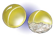 cat's eye gem polished dome and rough underside Image courtesy Professional Jeweller cat's eye gem polished dome and rough underside Image courtesy Professional Jeweller