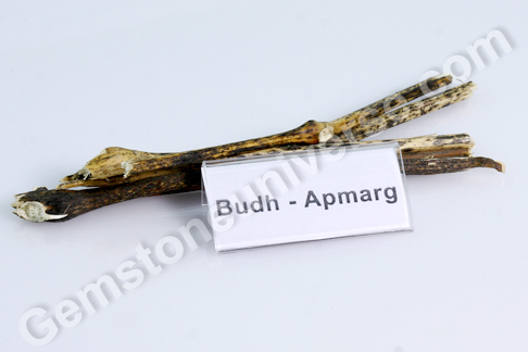 Achyranthes aspera Apamarga Bhasma Sacred Ash for Mercury Achyranthes aspera Apamarga Bhasma Sacred Ash for Mercury