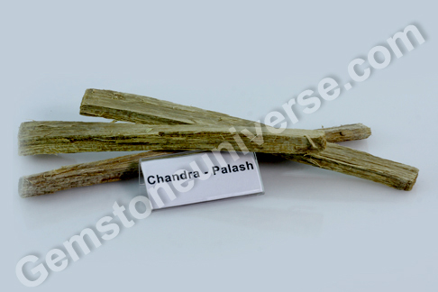 Butea monosperma Palash Bhasma Sacred Ash for Moon Butea monosperma Palash Bhasma Sacred Ash for Moon