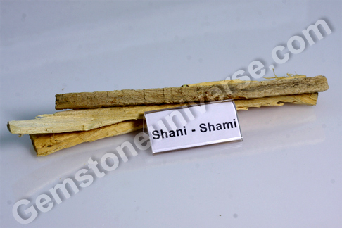 Prosopis cineraria Shami Bhasma Sacred Ash for Saturn Prosopis cineraria Shami Bhasma Sacred Ash for Saturn
