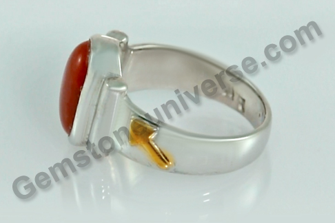 Side Angle showing the sacred Mars symbol Side Angle showing the sacred Mars symbol
