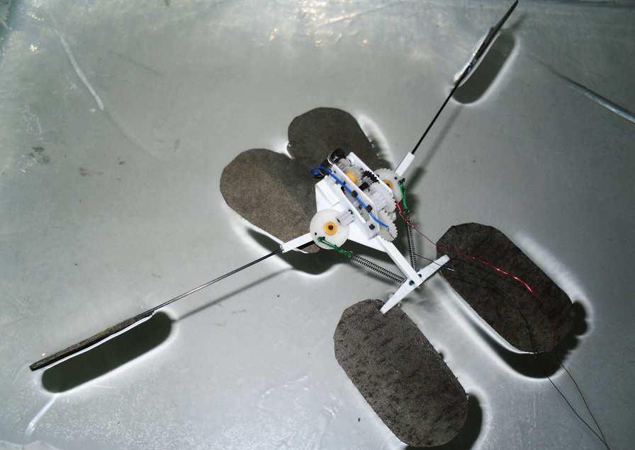 Coral Bots tasked with Saving Coral Reefs and rarity of Corals.