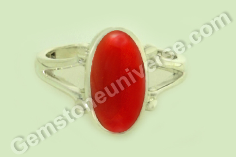 The Wonder of Natural Organic Red Coral – A Wave of Red Art and a Tradition of Protective Healing