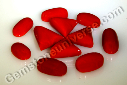 Red Corals from the Lot Indravajra Red Corals from the Lot Indravajra