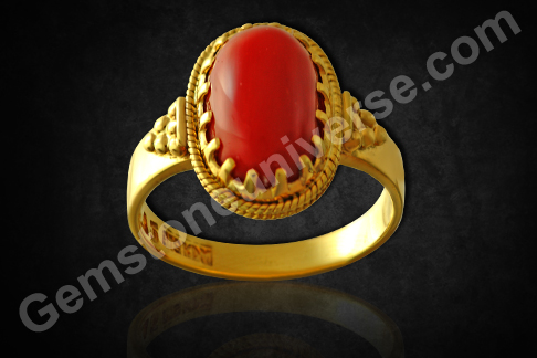 Rich Mediterranean Ox Blood Colored Italian Red Coral - Premium Jyotish Quality Coral