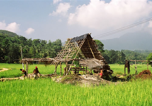 Open pit mine in a field