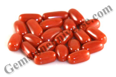 ASIM Italian Red Coral Limitless