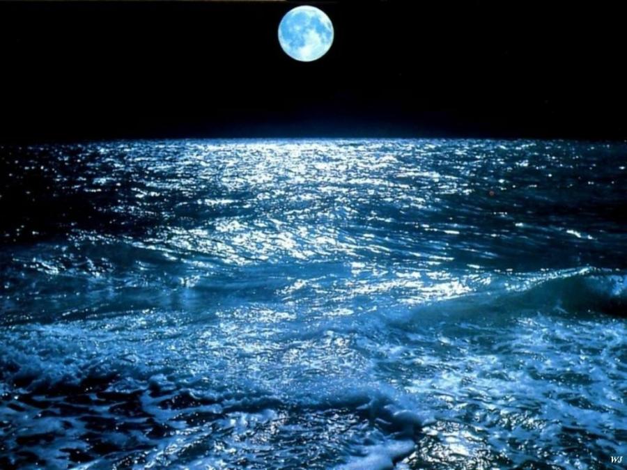 Impact of Moon on Tides in the Ocean