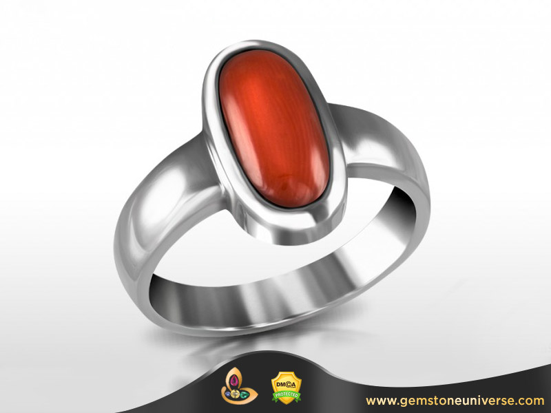What is Desi Moonga or Desi Munga? Italian Red Coral