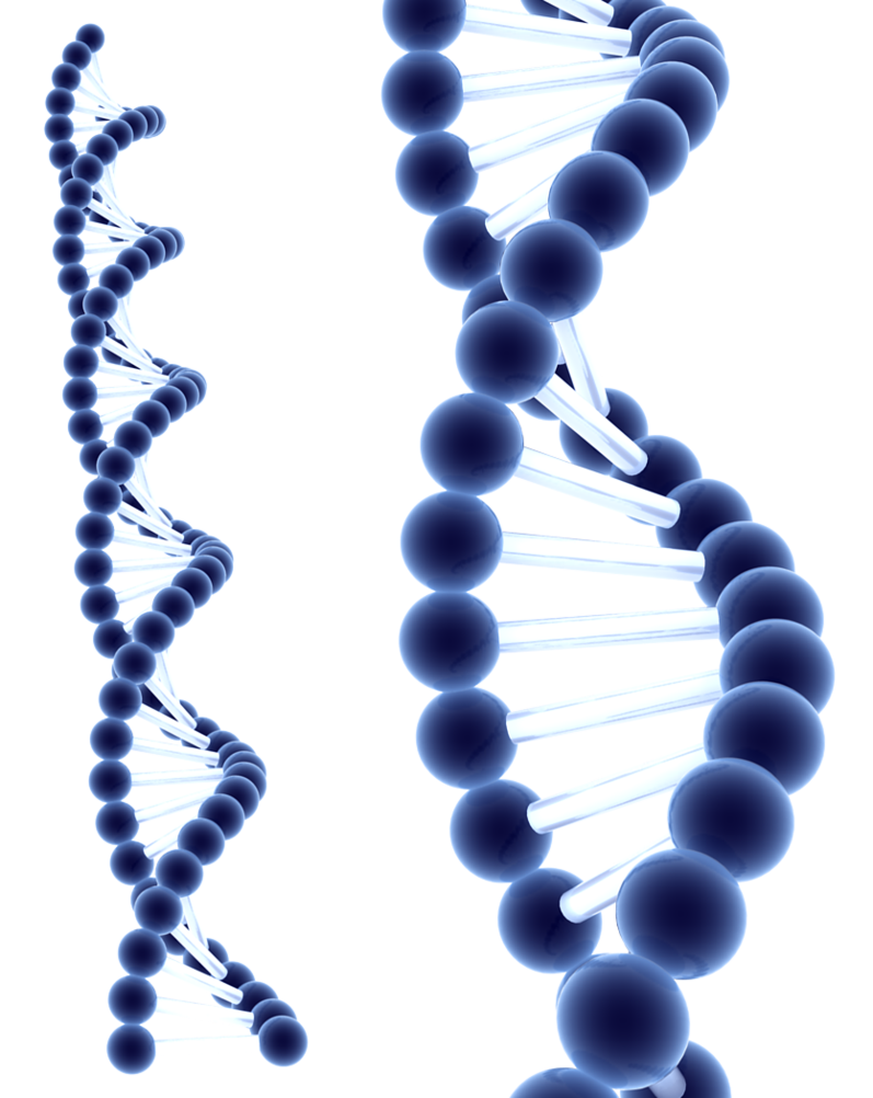 The Key Lies in Builing Immunity and Healing at a Cellular Level